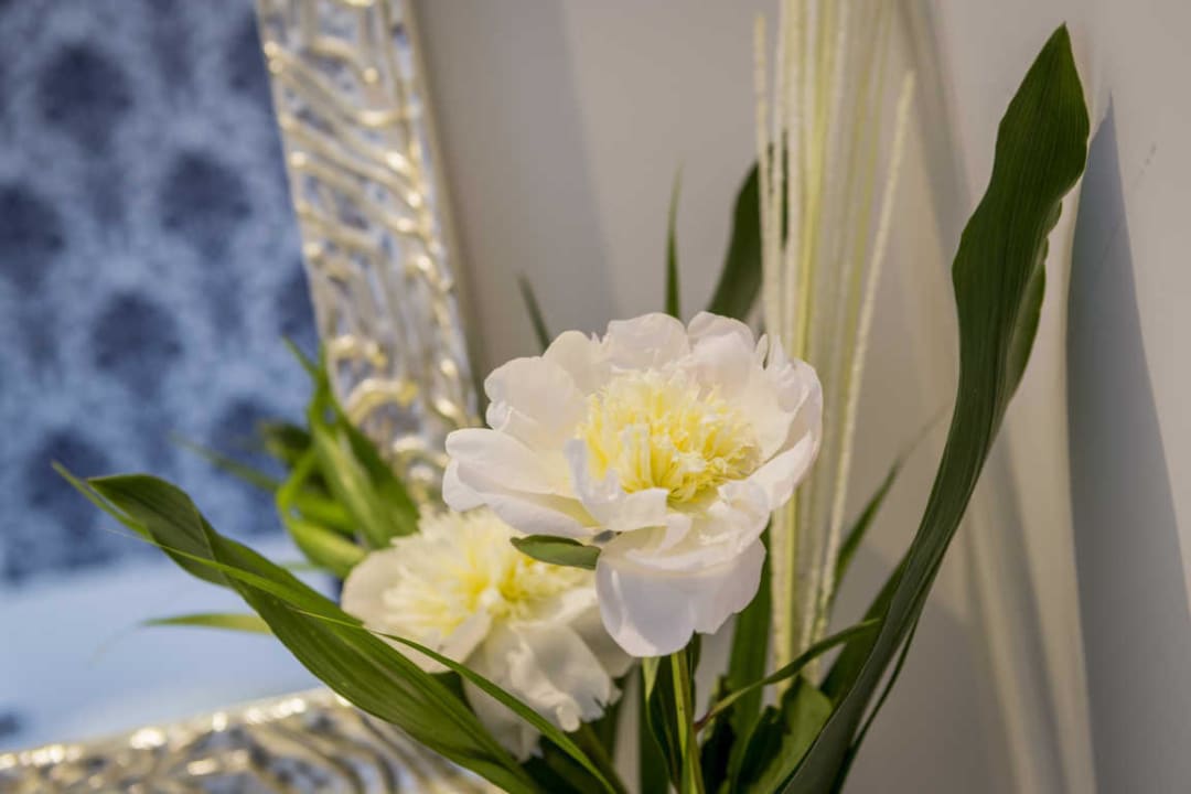 Camere Hotel Riviera Milano Marittima Hotel Riviera