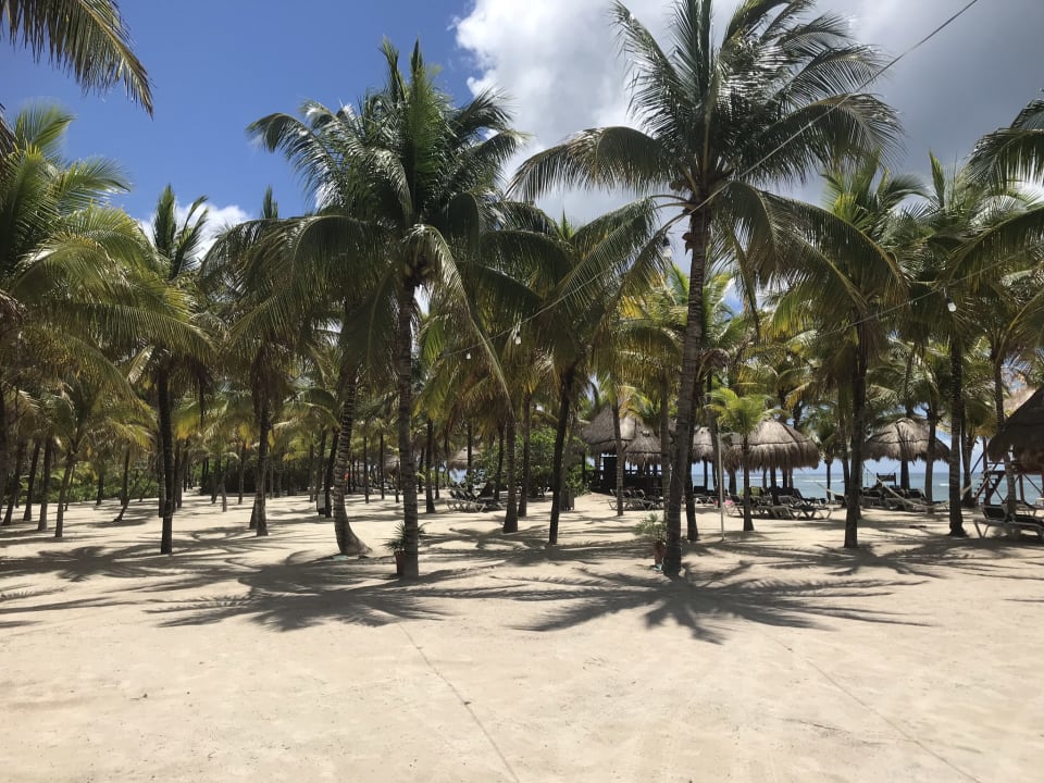 Strand Grand Palladium Kantenah Resort & Spa