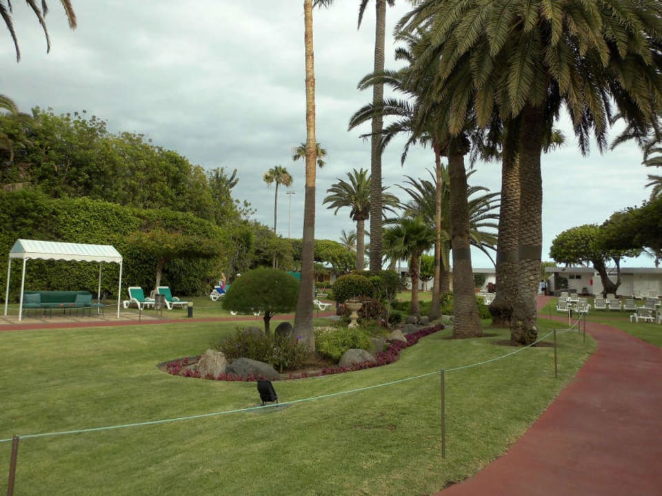 Palmengarten Bull Costa Canaria & Spa - Adults only