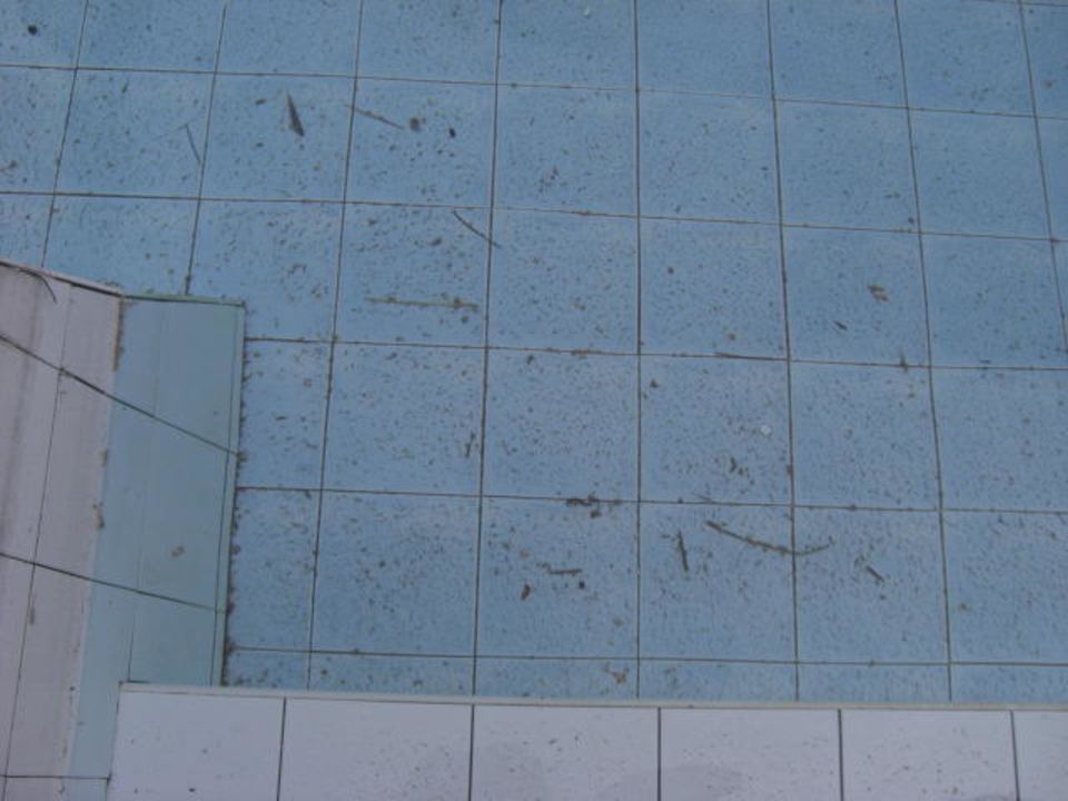 Sauberkeit im Pool Hotel Samui Palm Beach Resort