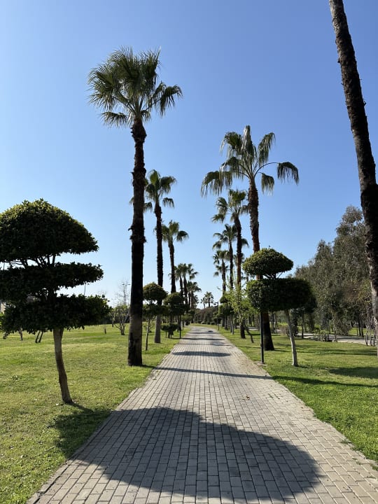 Gartenanlage Royal Seginus