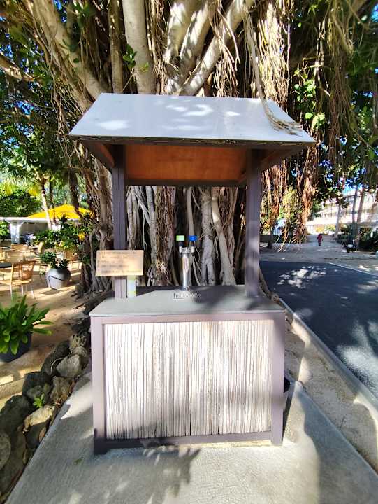 Gastro Lagoon Attitude - Adults only