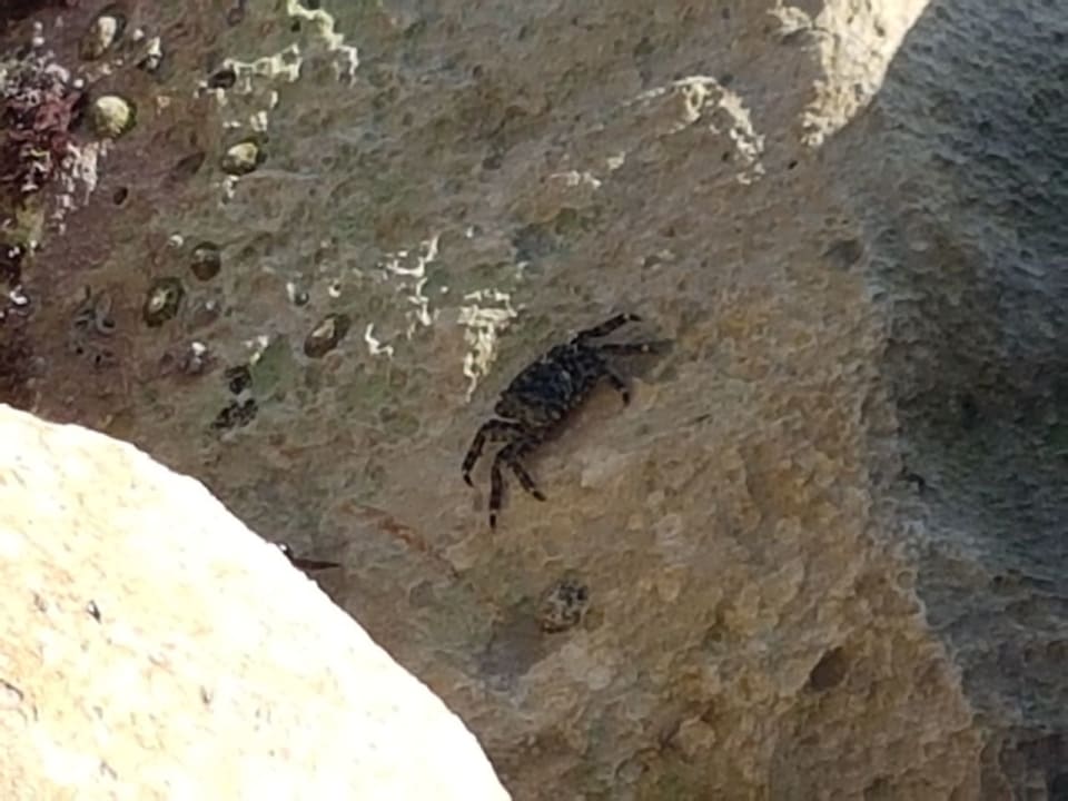 Strand Marhaba Royal Salem