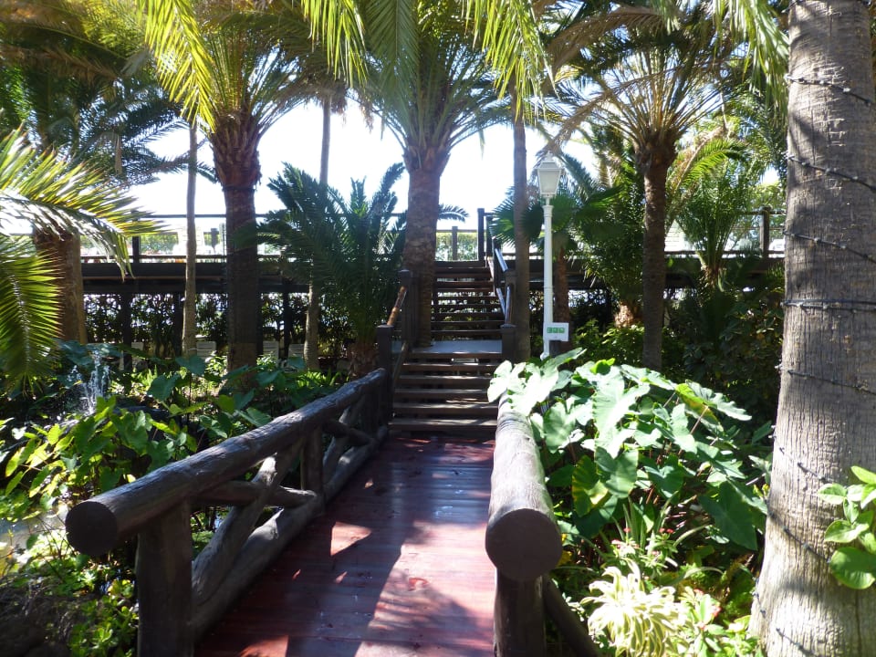 Zugang zur Sonnenterrasse Hotel Parque Tropical
