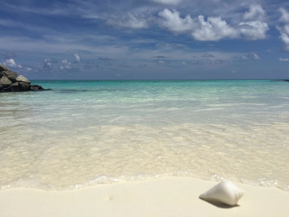 Wunderschönes Meer Summer Island Maldives