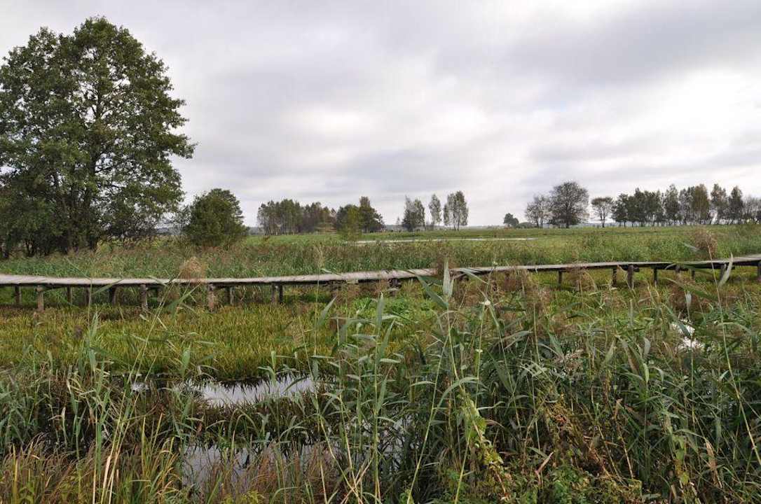 Tereny zalewowe Dworek nad Łąkami Kiermusy