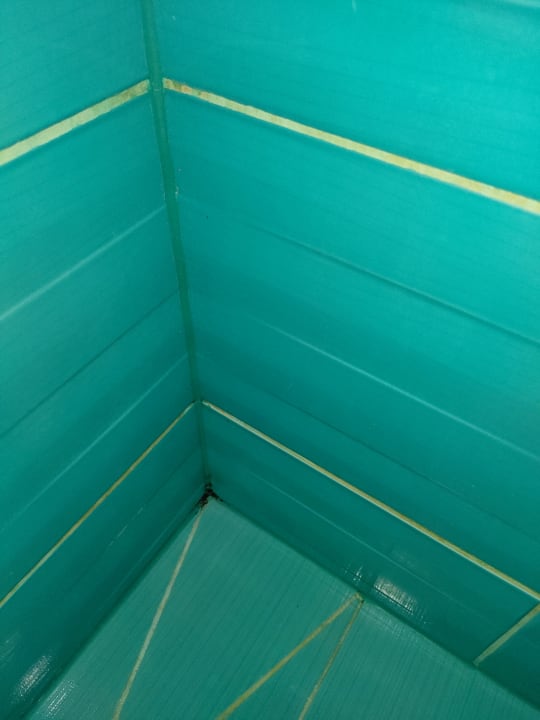 Zimmer Król Plaza Spa&Wellness
