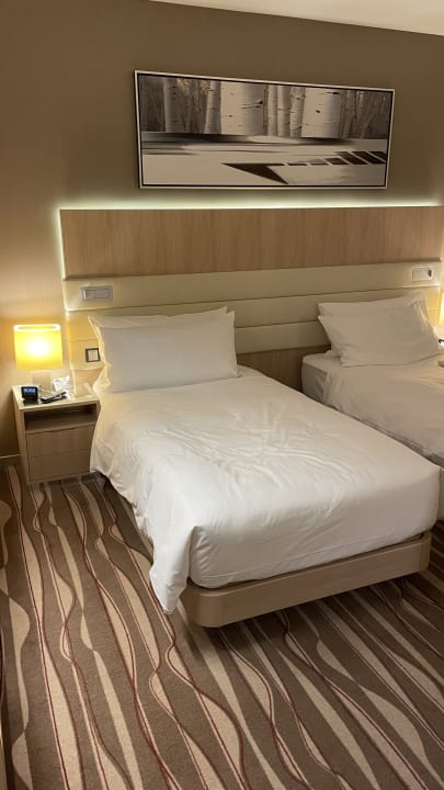 Zimmer Hilton Frankfurt Airport