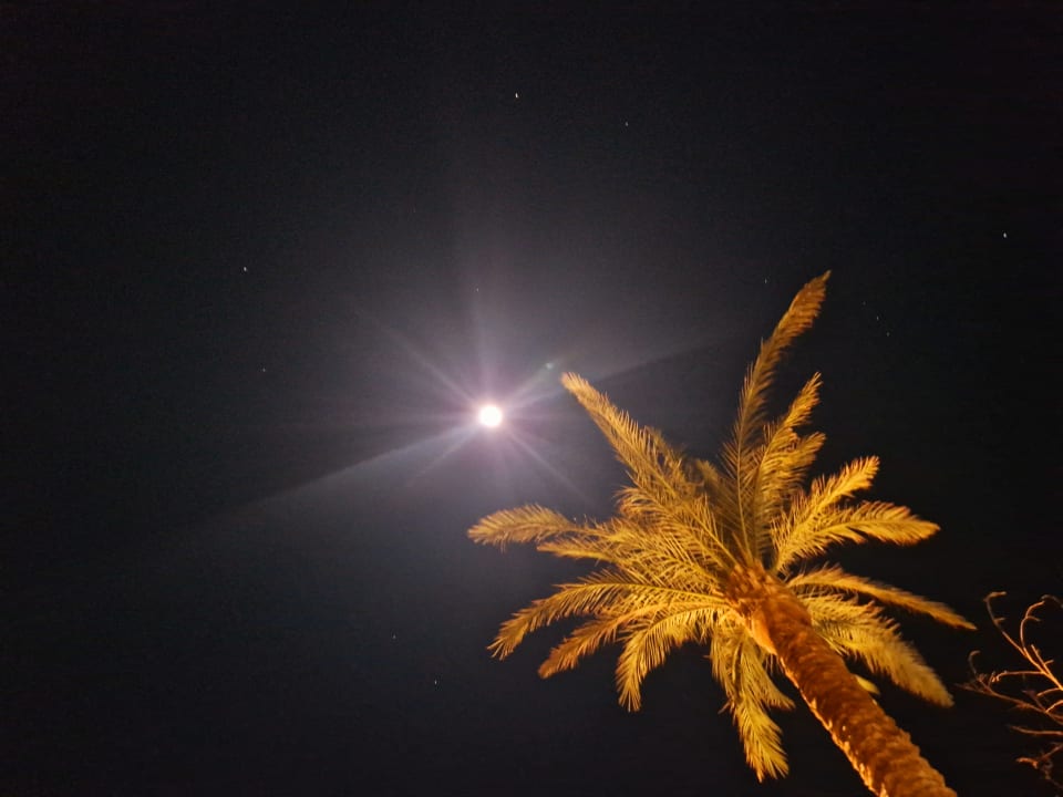 Ausblick The Grand Palace - Adults only