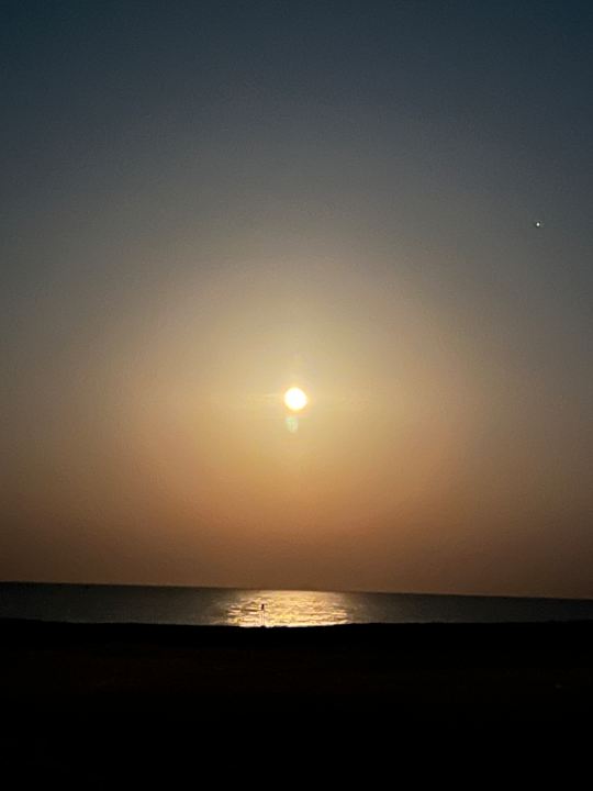 Ausblick Steigenberger Coraya Beach - Adults only