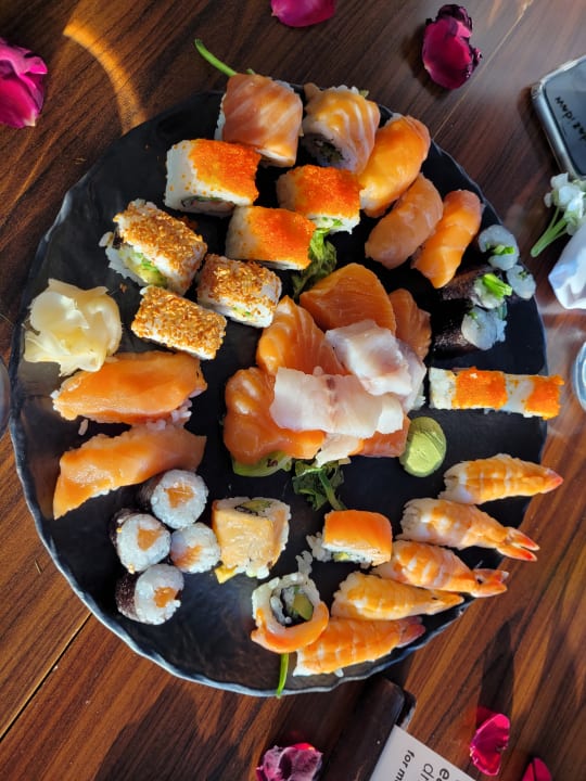 Gastro PALOMA Perissia