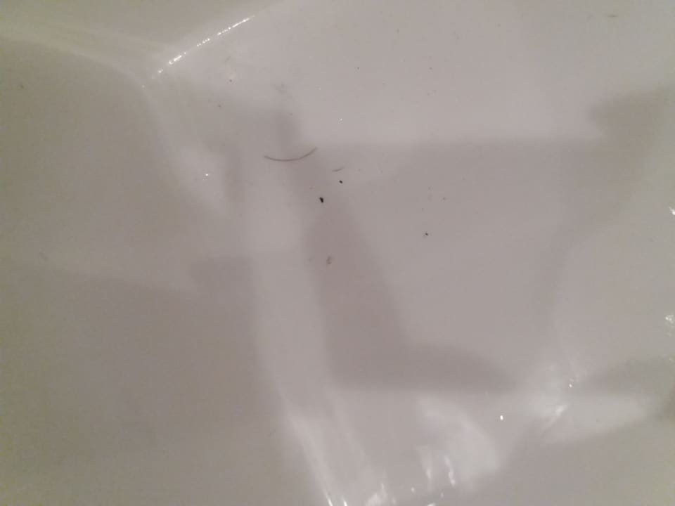 Zimmer Odessos Park Hotel