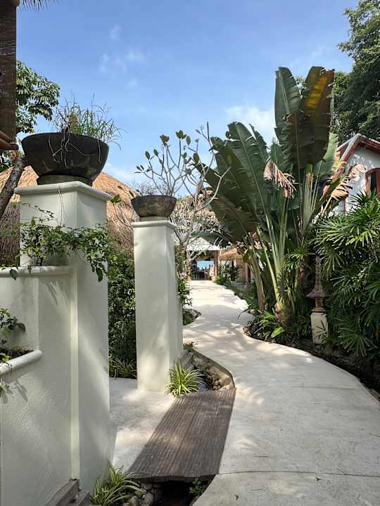 Gartenanlage Zazen Boutique Resort & Spa