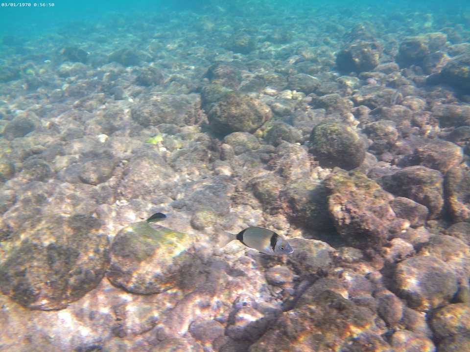 Strand Myrina Beach Hotel