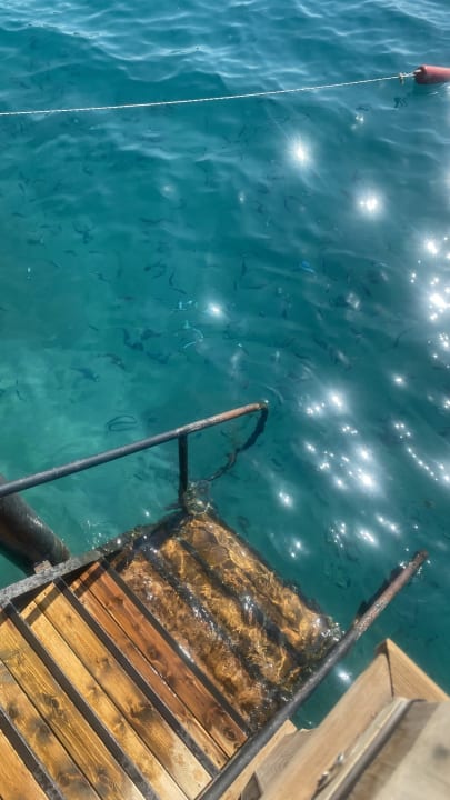 Pool Rixos Premium Tekirova