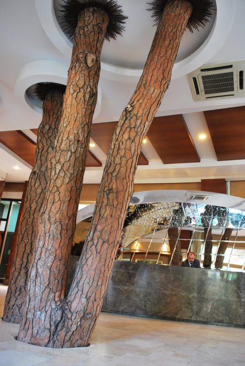 Reception Voyage Belek Golf & Spa