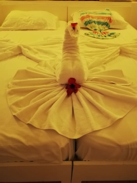 Zimmer Royal Karthago Djerba