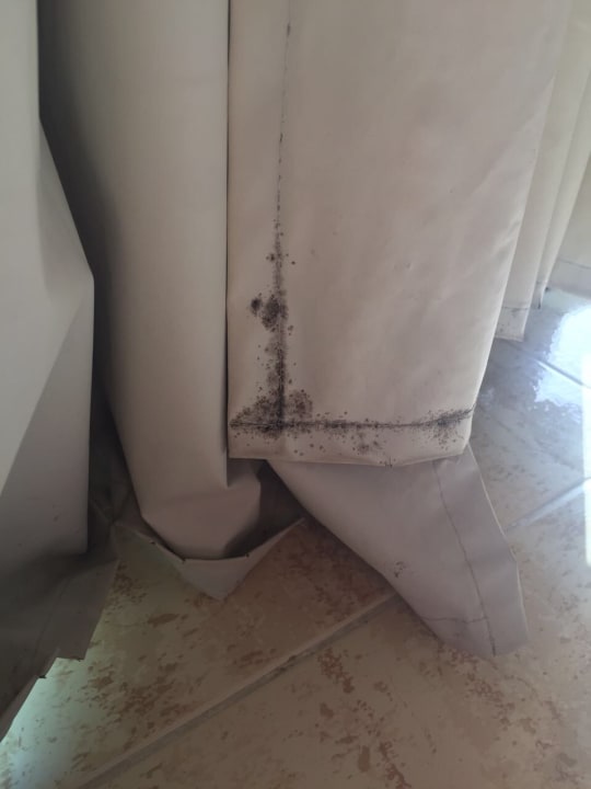 Zimmer allsun App.-Hotel Orient Beach