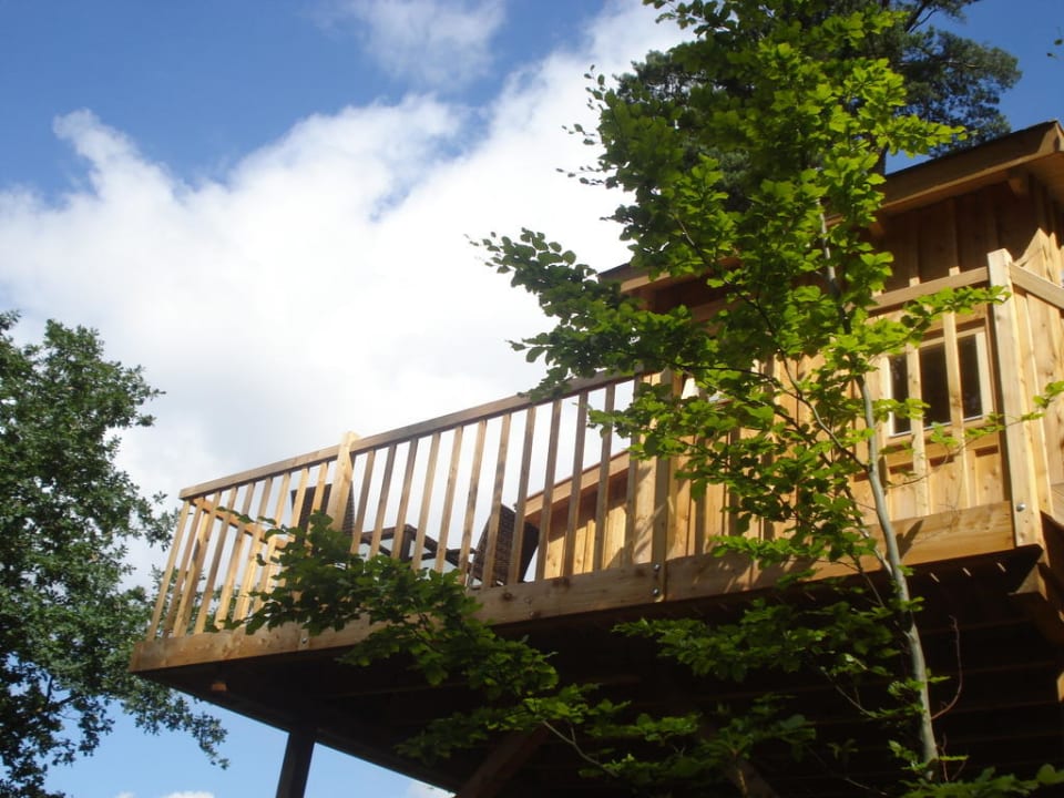 Baumhaus Baumpalast Baumhaushotel Rosenberg