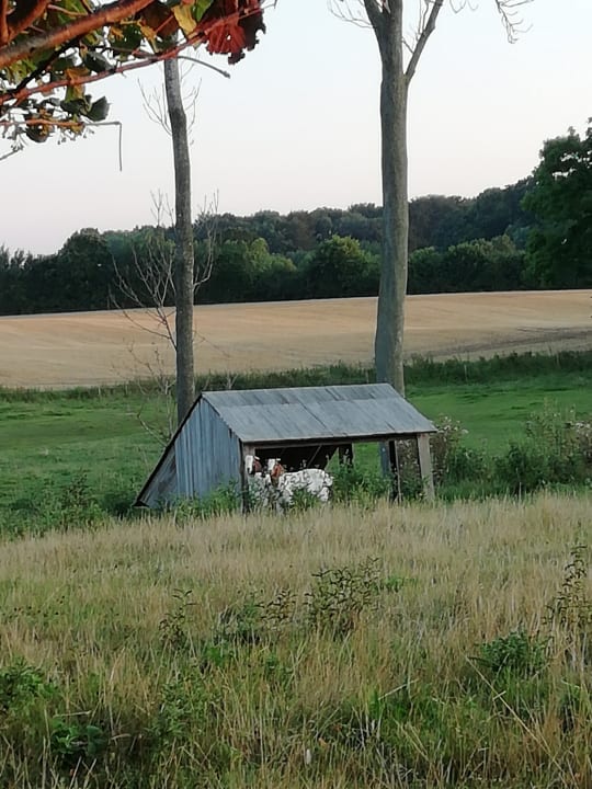 Ausblick Landhaus Ostseeblick