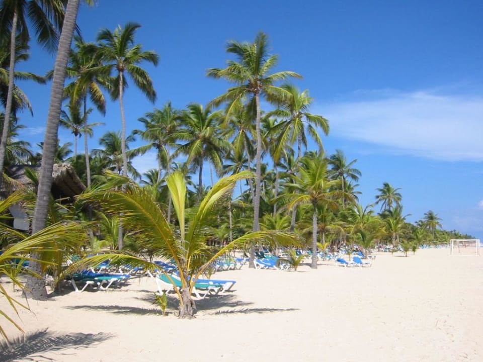 Traumstrand Hotel Riu Bambu