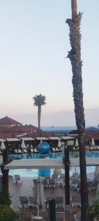 Pool TUI BLUE Pascha Bay