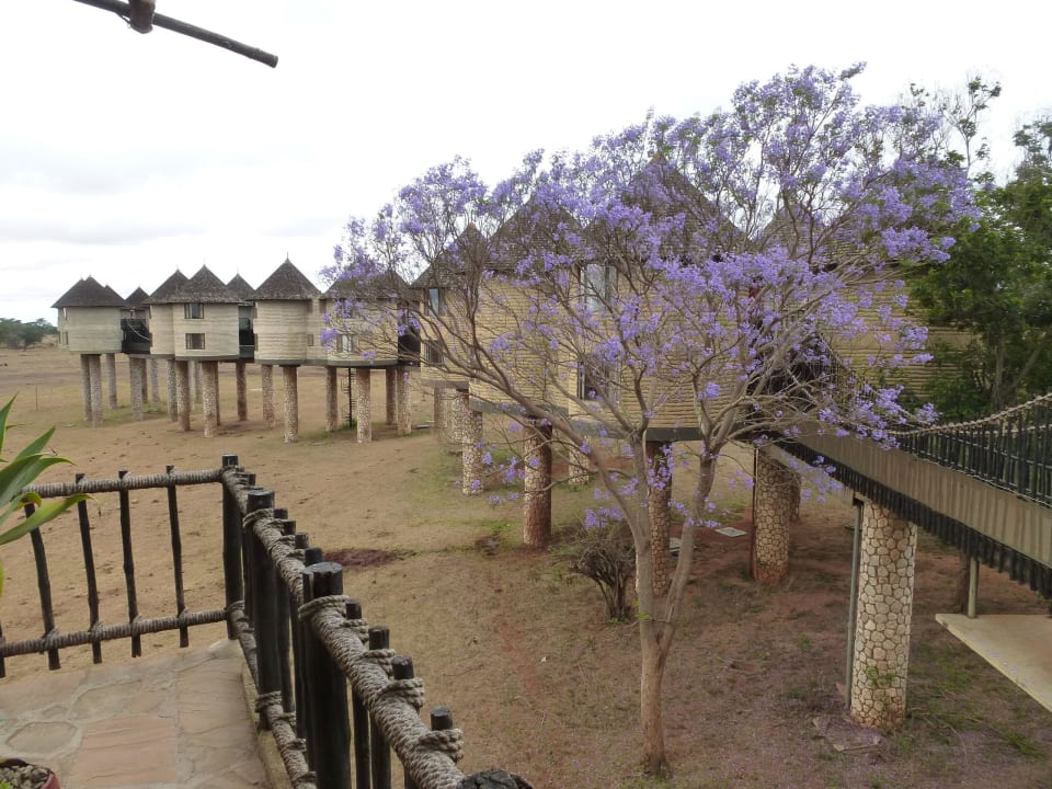 Wunderschöner Blick Salt Lick Safari Lodge