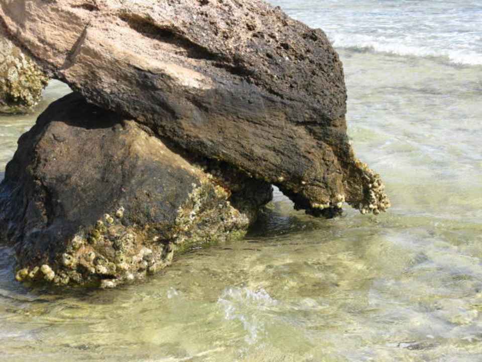 Felsen im Meer Pickalbatros Citadel Resort