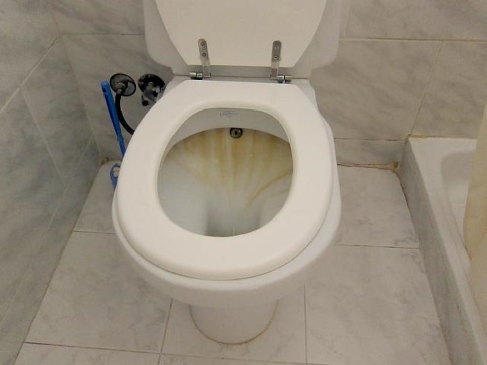 Funktionstüchtig Hotel Mangrove Bay Resort