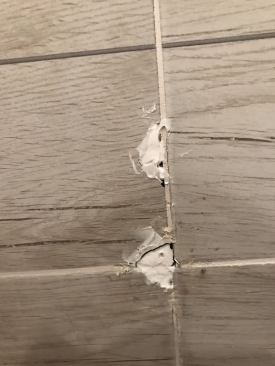 Zimmer Odessos Park Hotel