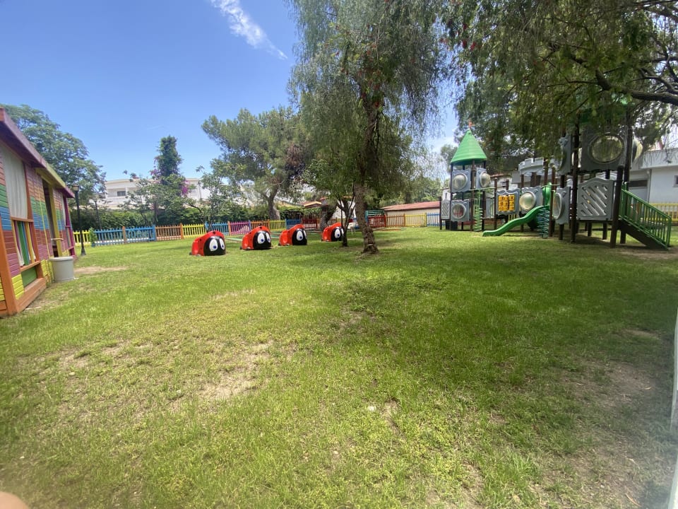 Sport & Freizeit Crystal Prestige Elite