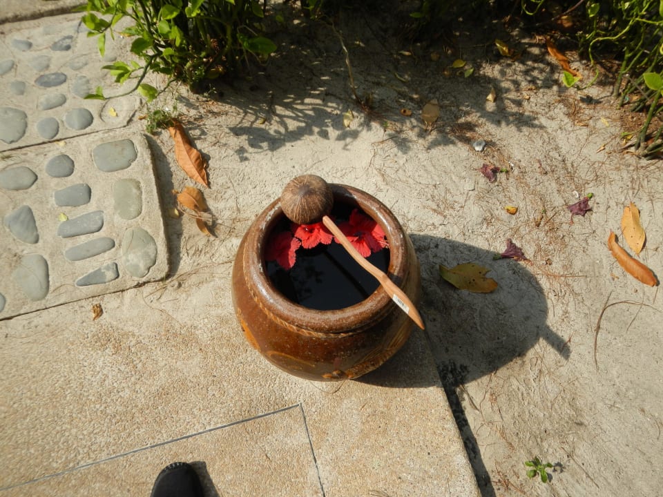 Zum Füsse waschen Hotel Coral Island Resort