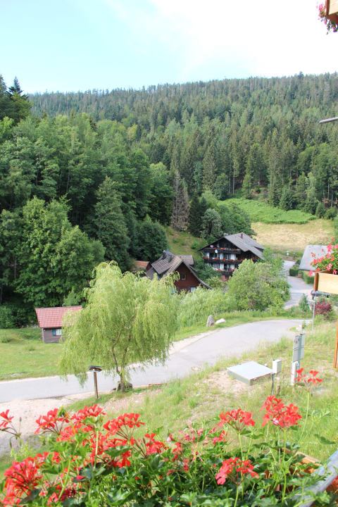 Ausblick Wellnesshotel Forsthaus Auerhahn