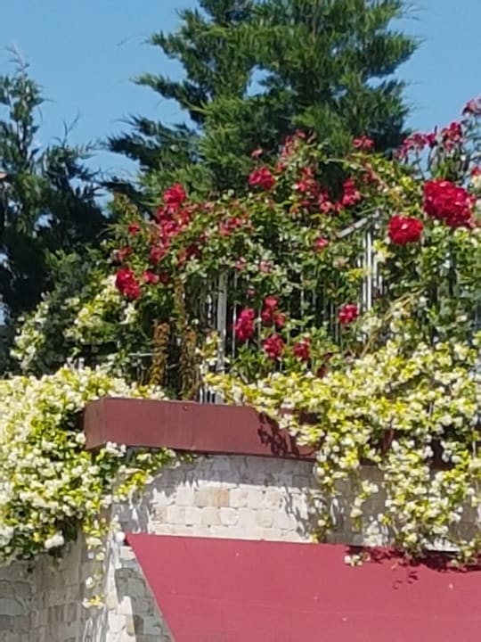 Gartenanlage Merve Sun Hotel & Spa