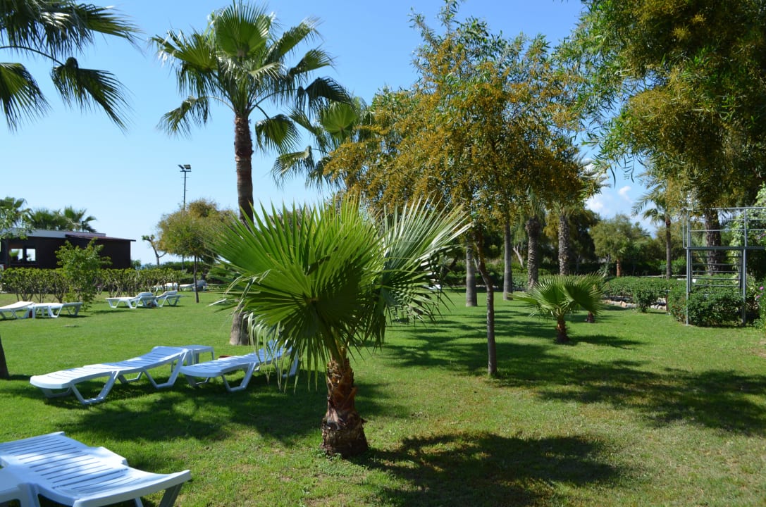 Gepflegte Liegewiese Kırbıyık Resort Hotel - Alanya
