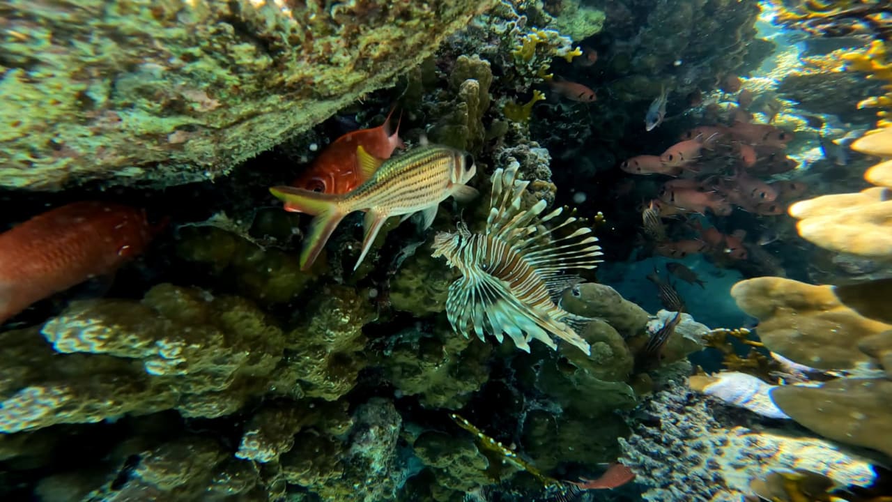 Strand Three Corners Equinox Beach Resort