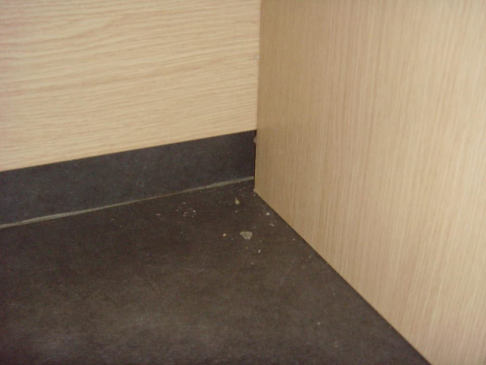 Spinne Atlantica Mikri Poli Kos