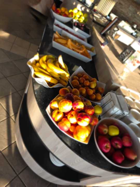 Gastro Hotel Borjana