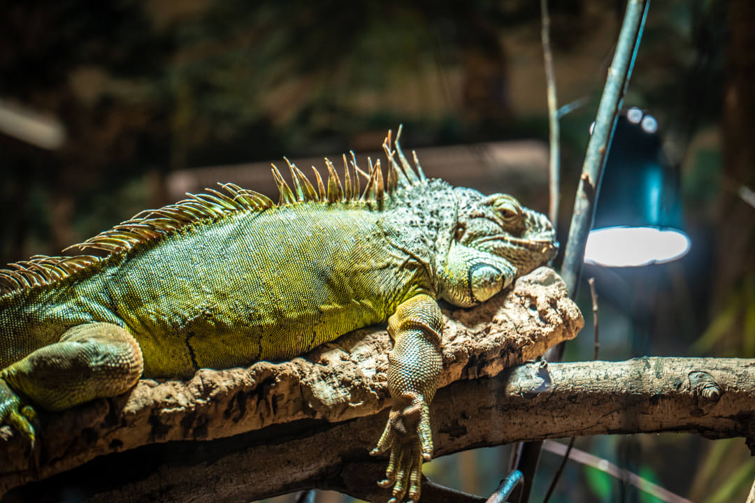 Sonstiges Ferienwohnungen Ferienpark Weissenhäuser Strand