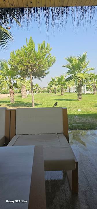 Sonstiges Sultan of Dreams Hotel & Spa