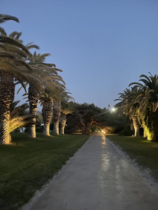 Gartenanlage Caravia Beach Hotel