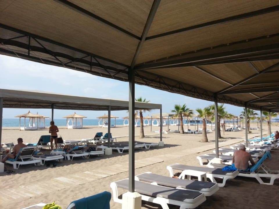 Strand ROBINSON NOBILIS