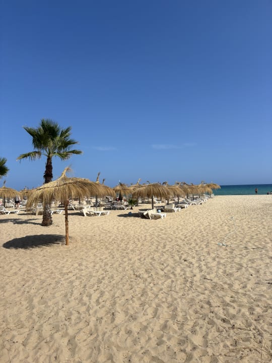 Strand One Resort Premium Hammamet