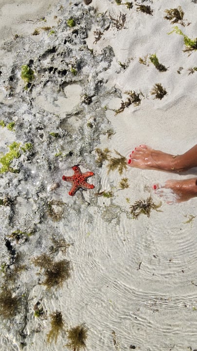 Strand The Mora Zanzibar