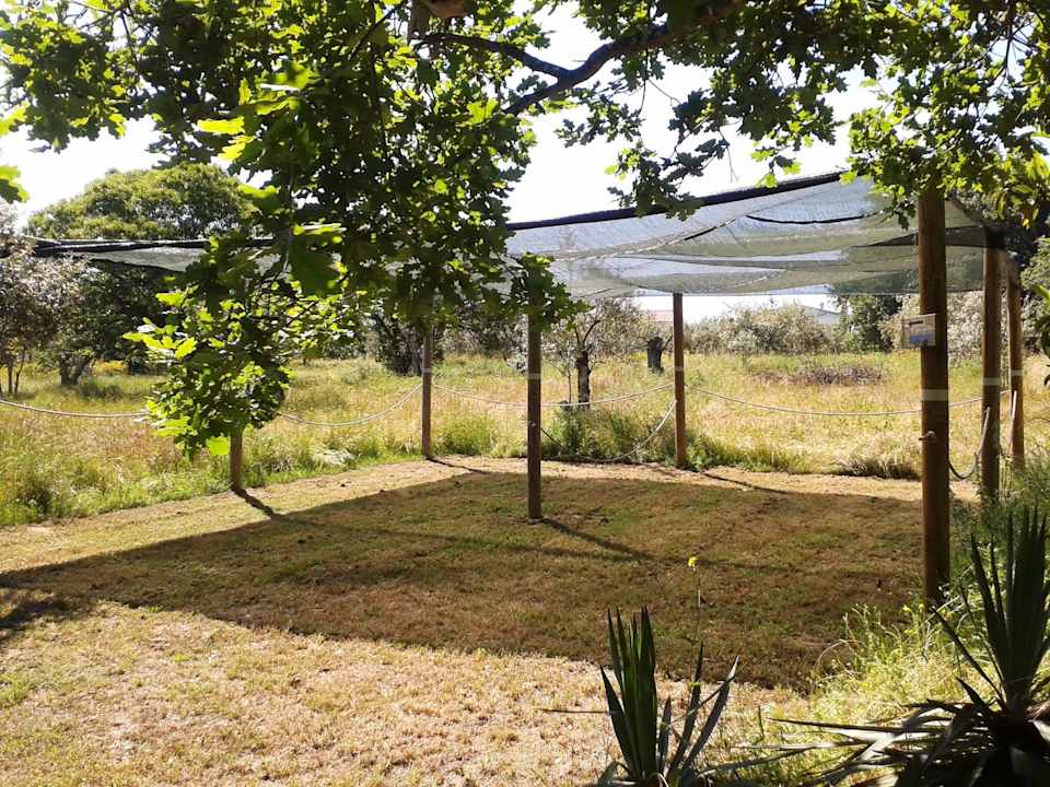 Private Parking Casa das Palmeiras