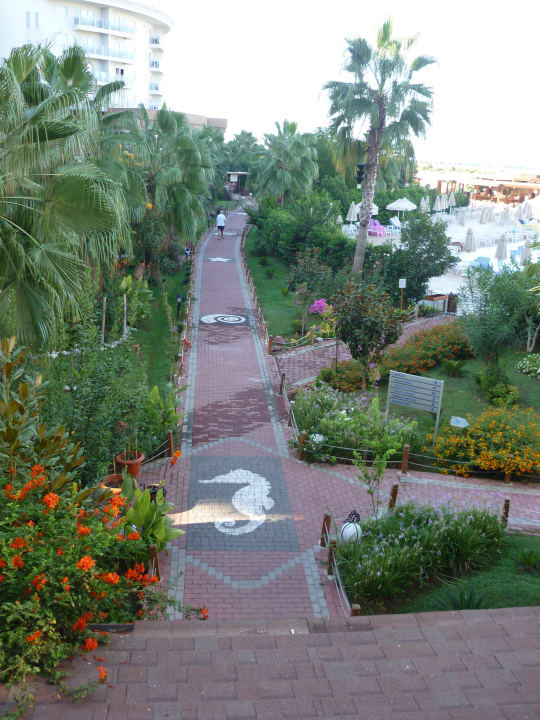 Weg zum Strand Seaden Sea World Resort & Spa