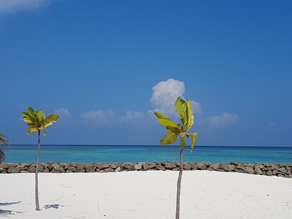 Ausblick Summer Island Maldives