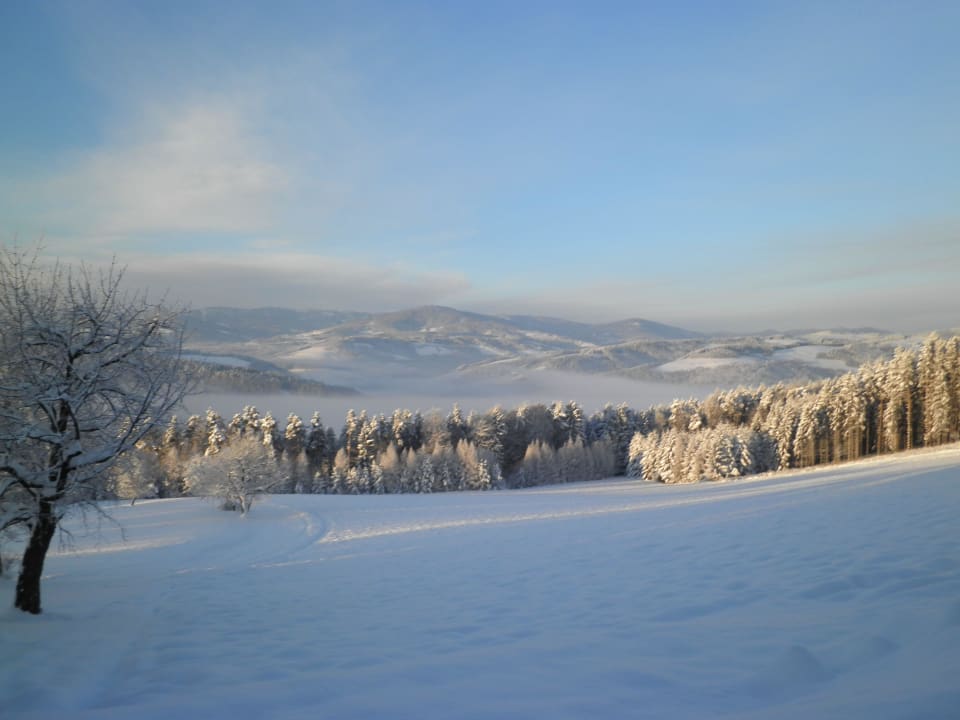 Ausblick auf das Wechselgebirge Pension Wachahof