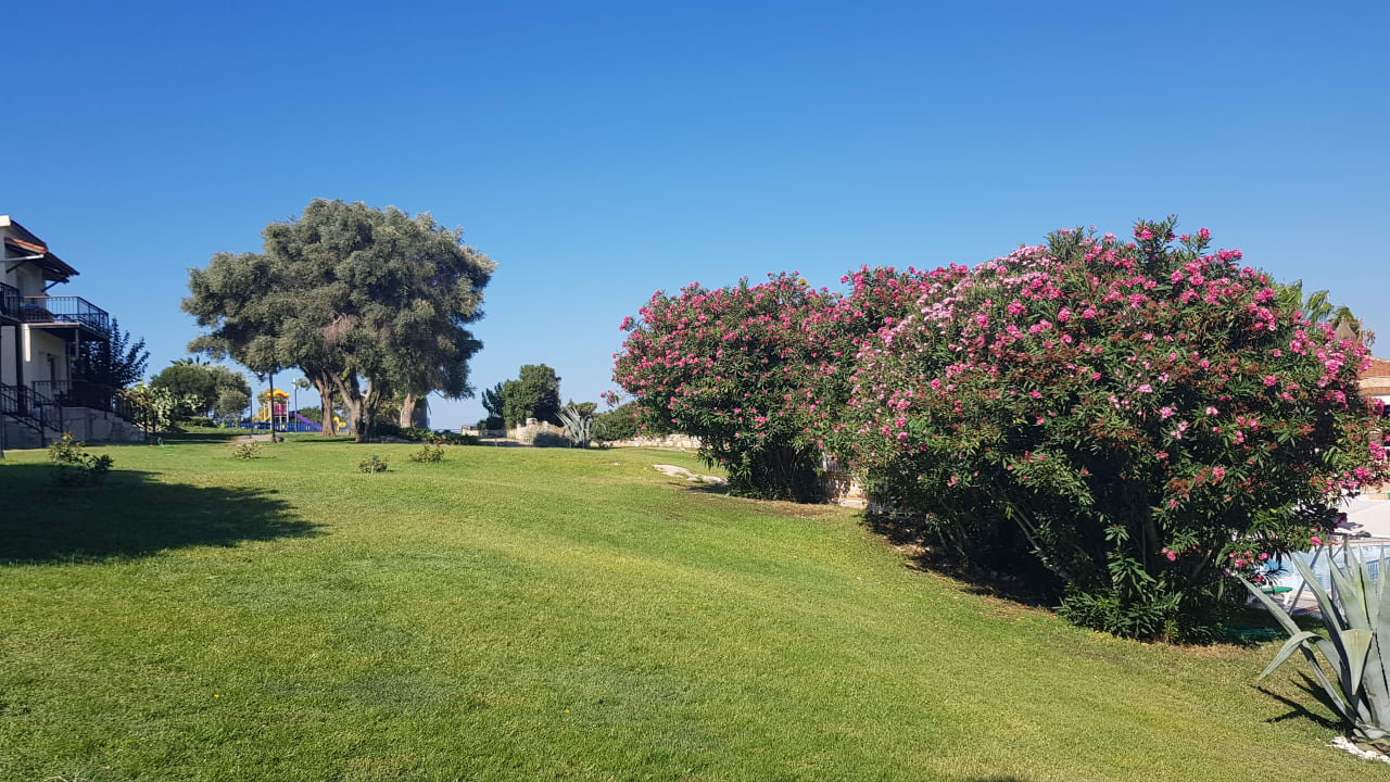 Gartenanlage Club Resort Atlantis