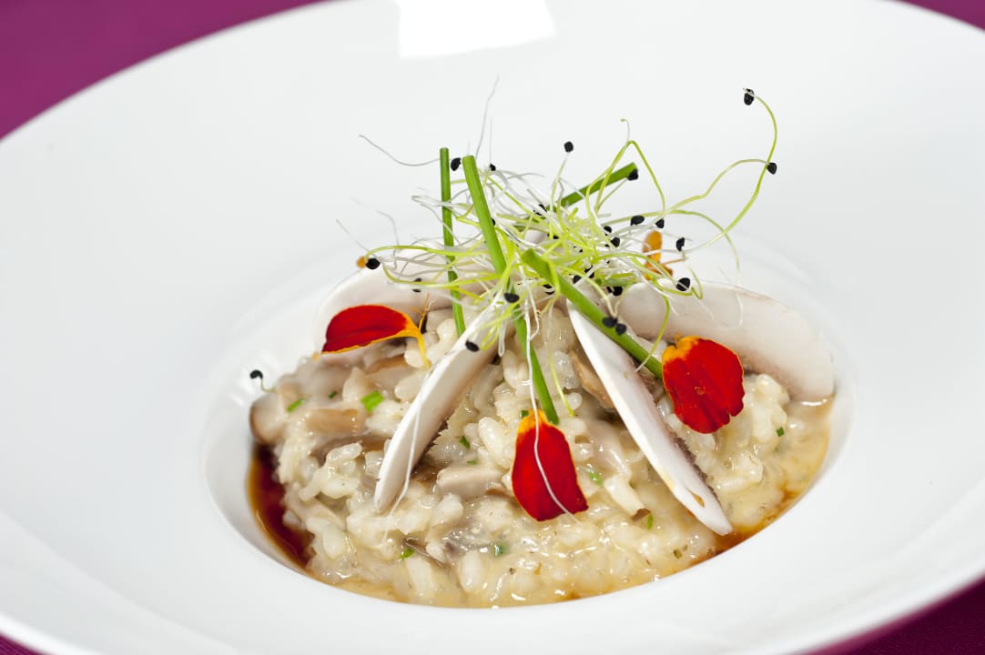 Sea food Risotto  Barceló Royal Beach